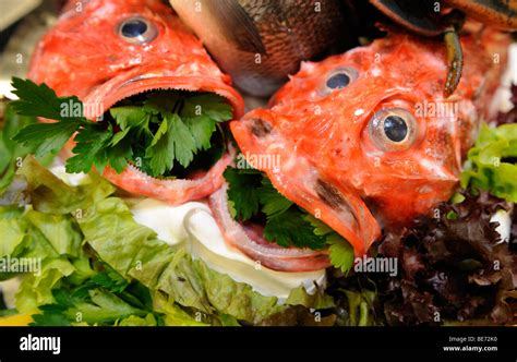 Anglerfish Dishes Hi Res Stock Photography And Images Alamy