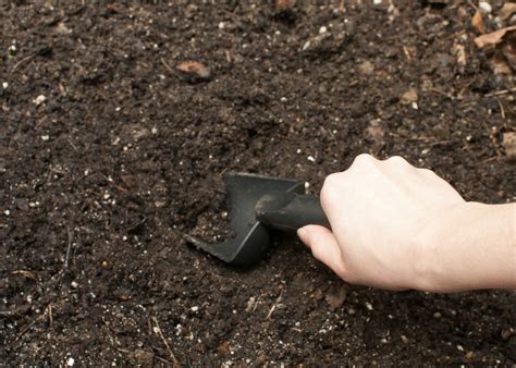 However, some crops prefer a more acidic. What Plants Like Alkaline Soil? (with Pictures) | eHow