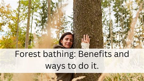 Forest Bathing Benefits And Ways To Do It Meltblogs