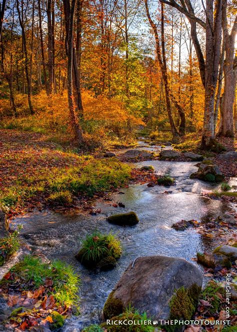 Autumn Stream HDR | A stream flows over rocks and through a … | Flickr
