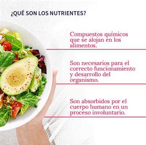 Tipos De Nutrientes Por Qué Y Cuáles Necesitas Aprende Institute