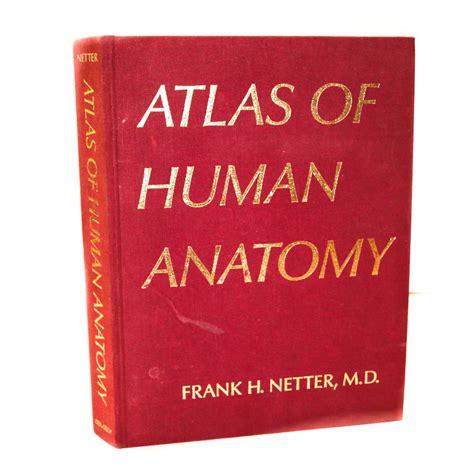 Frank H Netter Atlas Of Human Anatomy Ebth