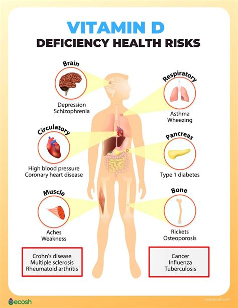VITAMIN D DEFICIENCY VDD Symptoms Causes Risk Groups And Health Risks Of Vitamin D