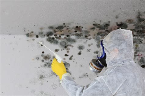 Mold Removal And Remediation In Greater Boston Ma
