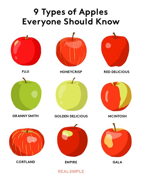 9 Different Types Of Apples Commonly Available Guide And Pictures
