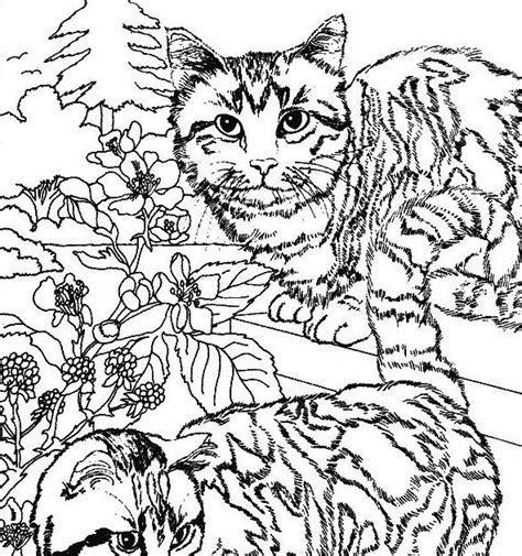 Rapia kuning09 Kleurplaat Volwassenen Dieren Poes
