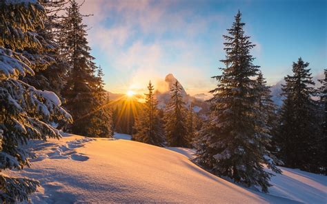 Alps Winter Snow Trees Sun Rays Wallpaper 1680x1050