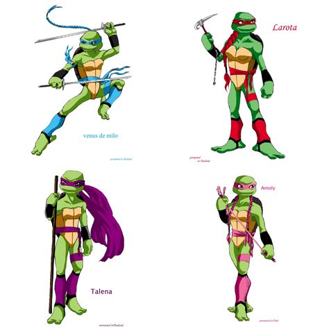 Tmnt Girls Teenage Mutant Ninja Turtles Art Female Ninja Turtle