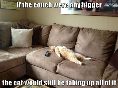 If The Couch Were Any Bigger The Cat Would Still Be Taking Up All Of It
