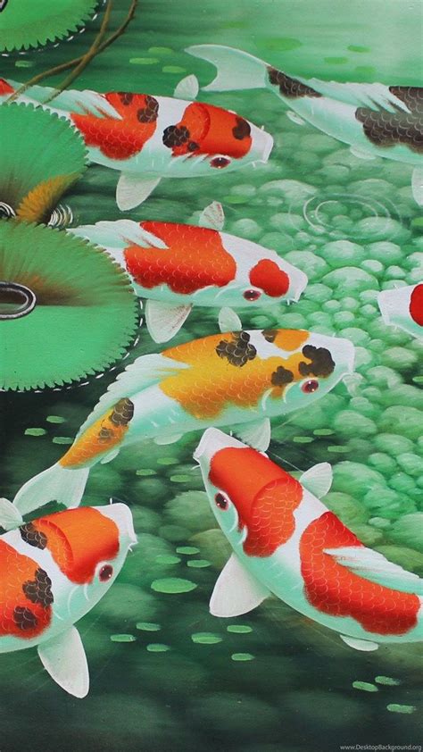 koi fish hd mobile wallpapers wallpaper cave