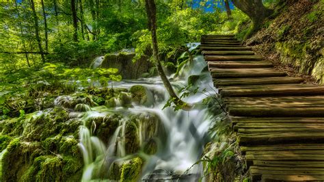 Free Download Photo Croatia Plitvice Lakes National Park Nature Bridges