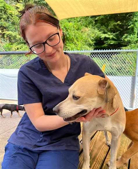 Kanawha-Charleston Humane Association