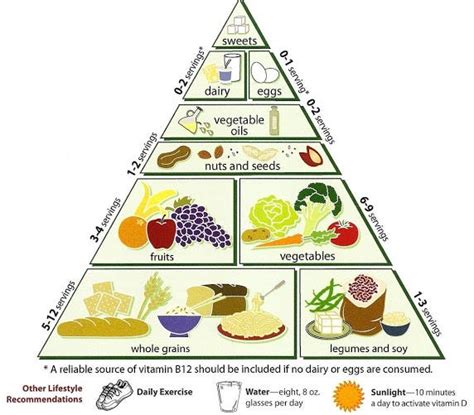 Why We Need A Food Guide Pyramid For Our Media Diet By Taylor W