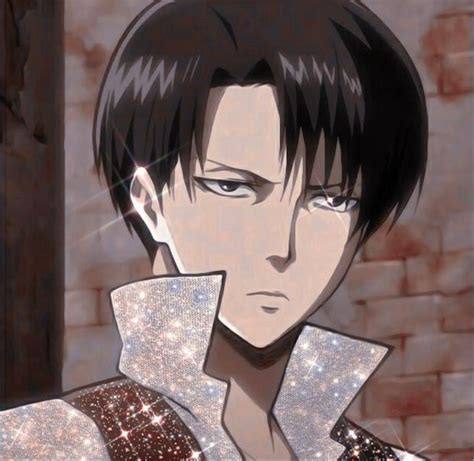 Cool Levi Pfps Canvas Puke