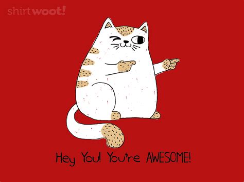 Hey You Youre Awesome Shirt From Shirtwoot Daily Shirts