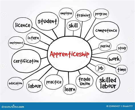 Apprenticeship Mind Map Concept For Presentations And Reports Stock