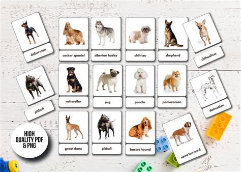 40 Dog Breeds Flashcards Printable Montessori Cards Etsy