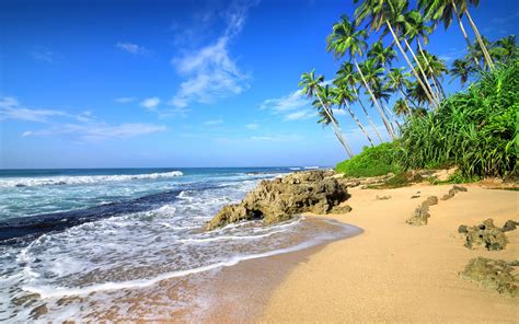 Download 3840x2400 Beach Sea Waves Tropical Beach Palm Tree 4k