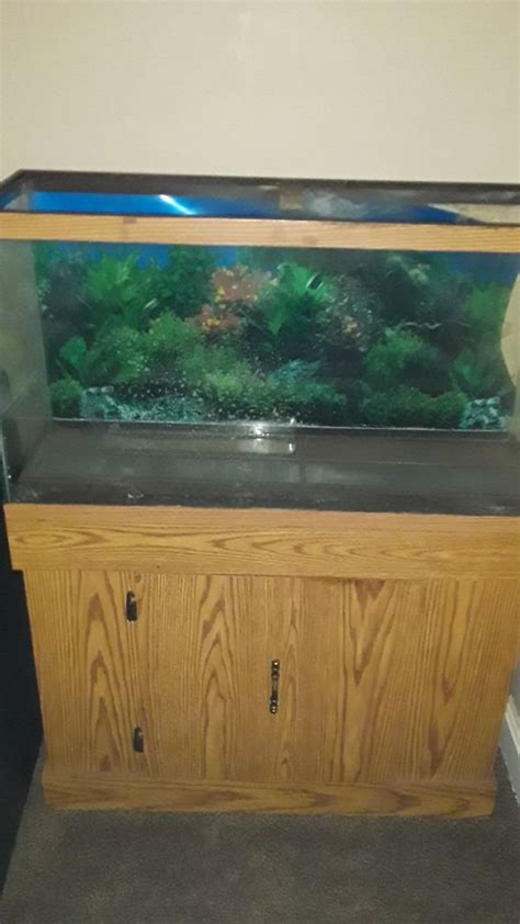 37 Gallon Fish Tank For Sale In Sugar Creek Mo Offerup