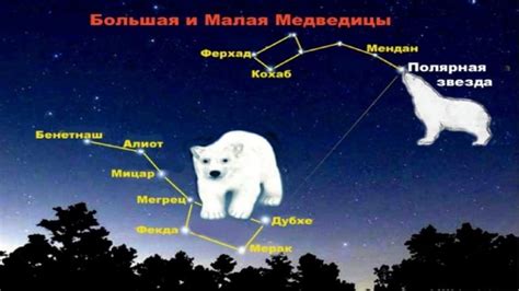 Звезды ковша Большой медведицы расположение и особенности