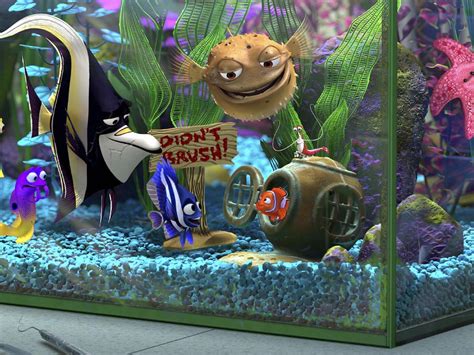 Fish In Tank From Nemo