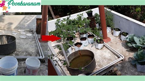 Garden tour in malayalam /gardening ideas for home/plants arrangements/vertical garden settings. How I converted my terrace to a Kitchen Garden(Malayalam ...