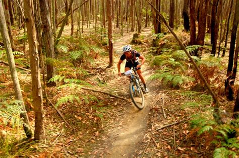 Wombat Track Mountain Bike Trail In Woodend Victoria Singletrackscom