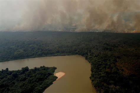 El Paradisíaco Destino Turístico Donde Se Filmó Pantanal La Exitosa Novela Que Reemplazó A Gran