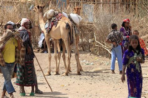 Apache camel 2.22 bringt über 200 verbesserungen, bugfixes und neue features. Oromo camel shepherds at the sunday market. Senbete ...