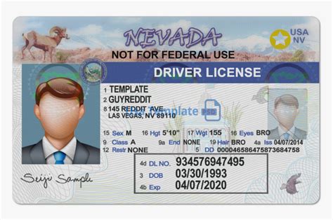 Nevada Driver License Template Nevada Drivers License Scan Hd Png