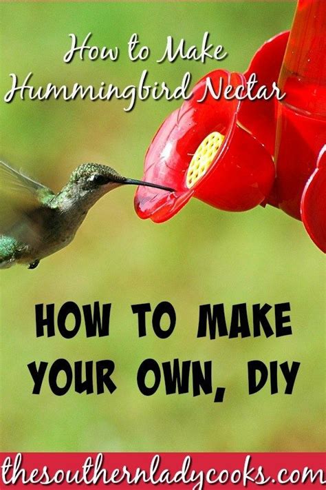 Hummingbird Nectar Make Your Own The Southern Lady Cooks Hummingbird