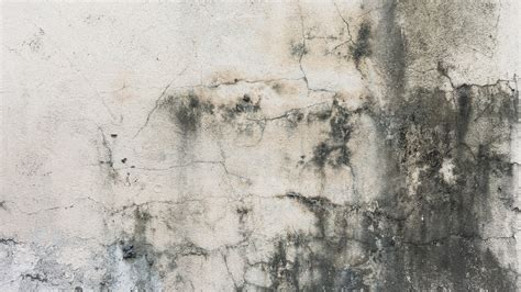 Free Images Grungy Texture Wall Crack Dirty Grunge Rough