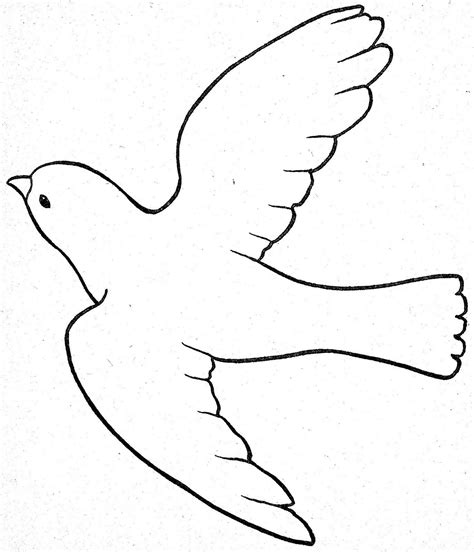 Vogel Zeichnen Einfach My Blog
