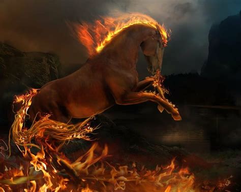 15 Best Fire Horse Images On Pinterest Fire Horse Horses And