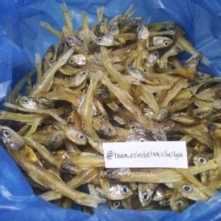 1 KG Ikan teri tawar | Shopee Indonesia