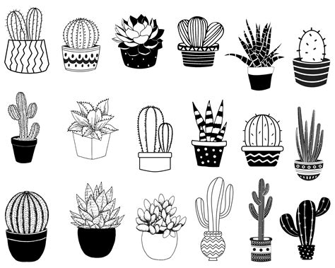 Cactus Pots Svg Bundle Succulents Svg Cactus Svg Potted Etsy