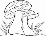 Mushroom Drawing Mushrooms Draw Coloring Drawings Cartoon Step Pencil Hellokids Para Google Tutorials Fungi Wonderland Alice Magic Books Crafts Dibujos sketch template