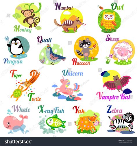 Animal Starting With X And Y - QANIML