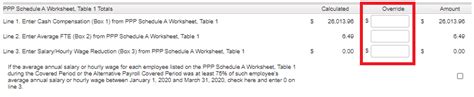 Ppp borrower demographic information form (optional). Completing Your PPP Schedule A Worksheet - Help Center