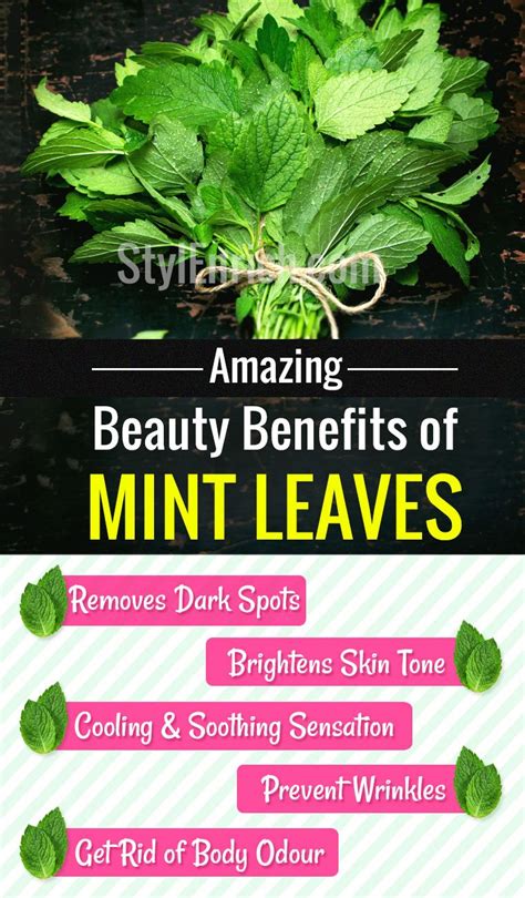 Benefits Of Mint Leaves 10 Quick And Easy Beauty Hacks