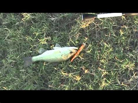 easy way to catch fish - YouTube