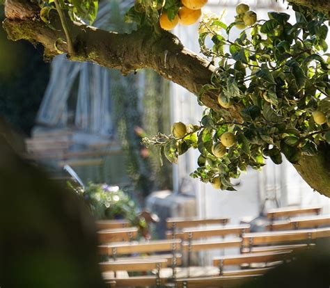 Pazo da golpelleira es una antigua fortaleza convertida en pazo en la que podréis disfrutar de una celebración de ensueño. Blog | Página 4 de 9 | Pazo da Golpelleira