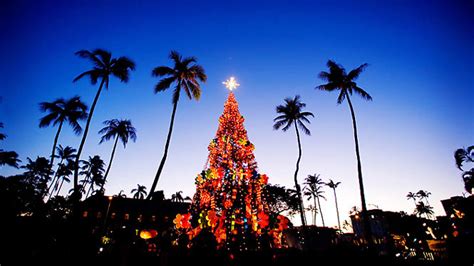 Hawaiian Christmas Trees Even The Traditional Symbols Of Christmas