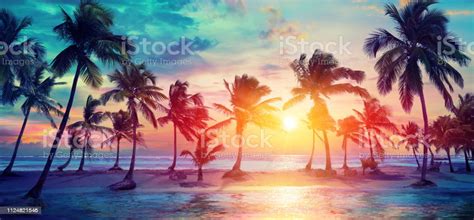 Palm Trees Silhouettes On Tropical Beach At Sunset Modern Vintage