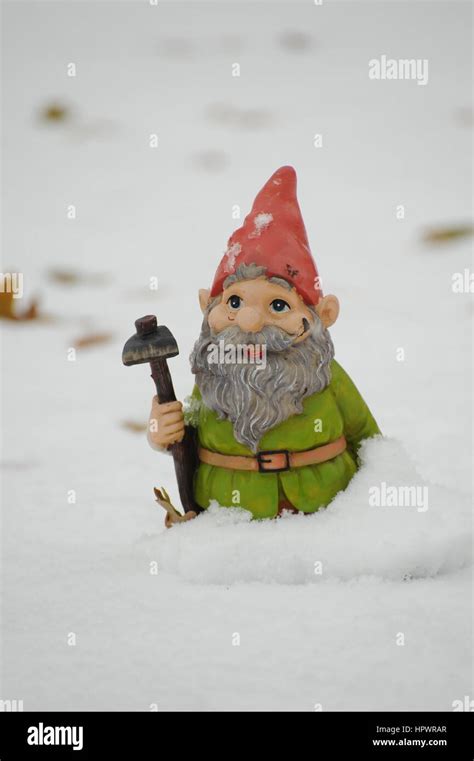Gnome In Garden Hi Res Stock Photography And Images Alamy