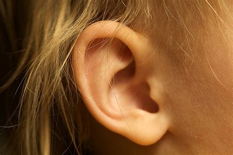 8 Effective Home Remedies For Earaches Whitecoathunter