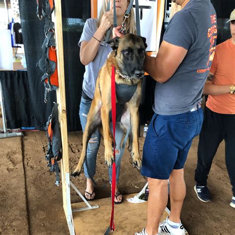 Getting a free nail trim at the Austin Pet Expo. So funny to me. Egan