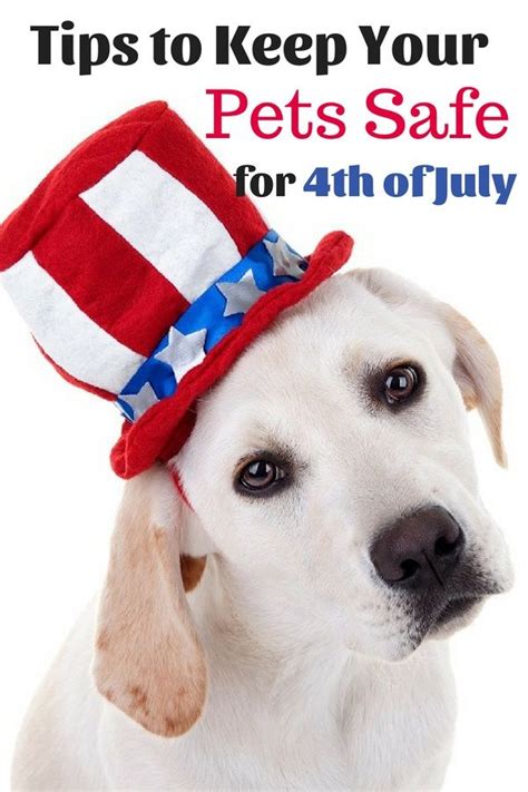 13 Simple Ways To Easily Keep Your Pets Safe And Secure On 4th Of July