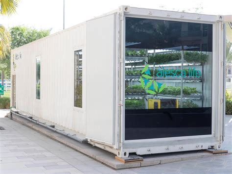 meet the container farm helping to feed a dubai community — agritecture