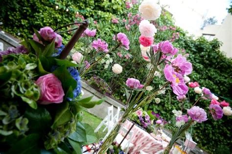 Anghinarea este o plantă perenă care crește înaltă de până la 1,5 m. ¡Pompones rosas y guirnaldas de luces para Mini Cari ...
